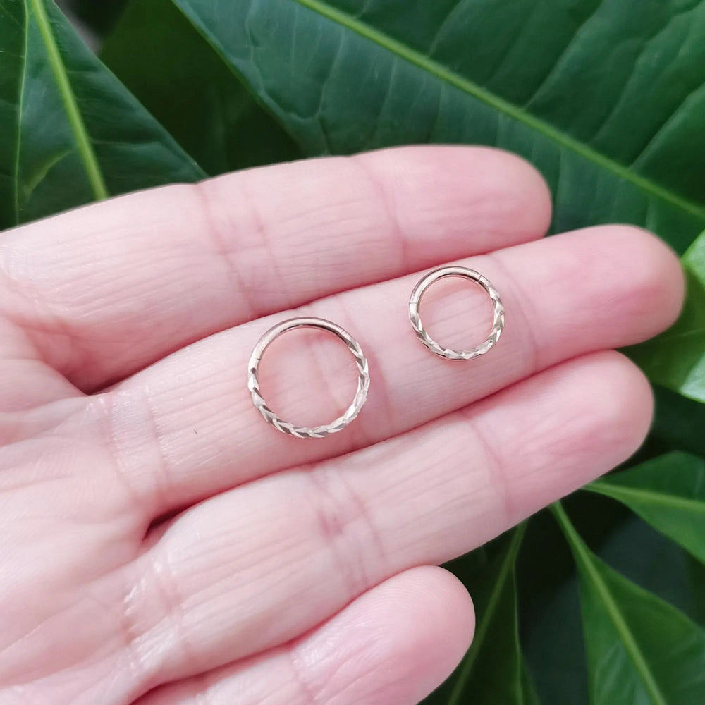 Titanium Implant Grade Braid Nose Ring Hinged Segment Nose Ring, Septum Clicker Ring, Nose Hoop, Clicker Ring, Tiny Ring, Daith Hoop